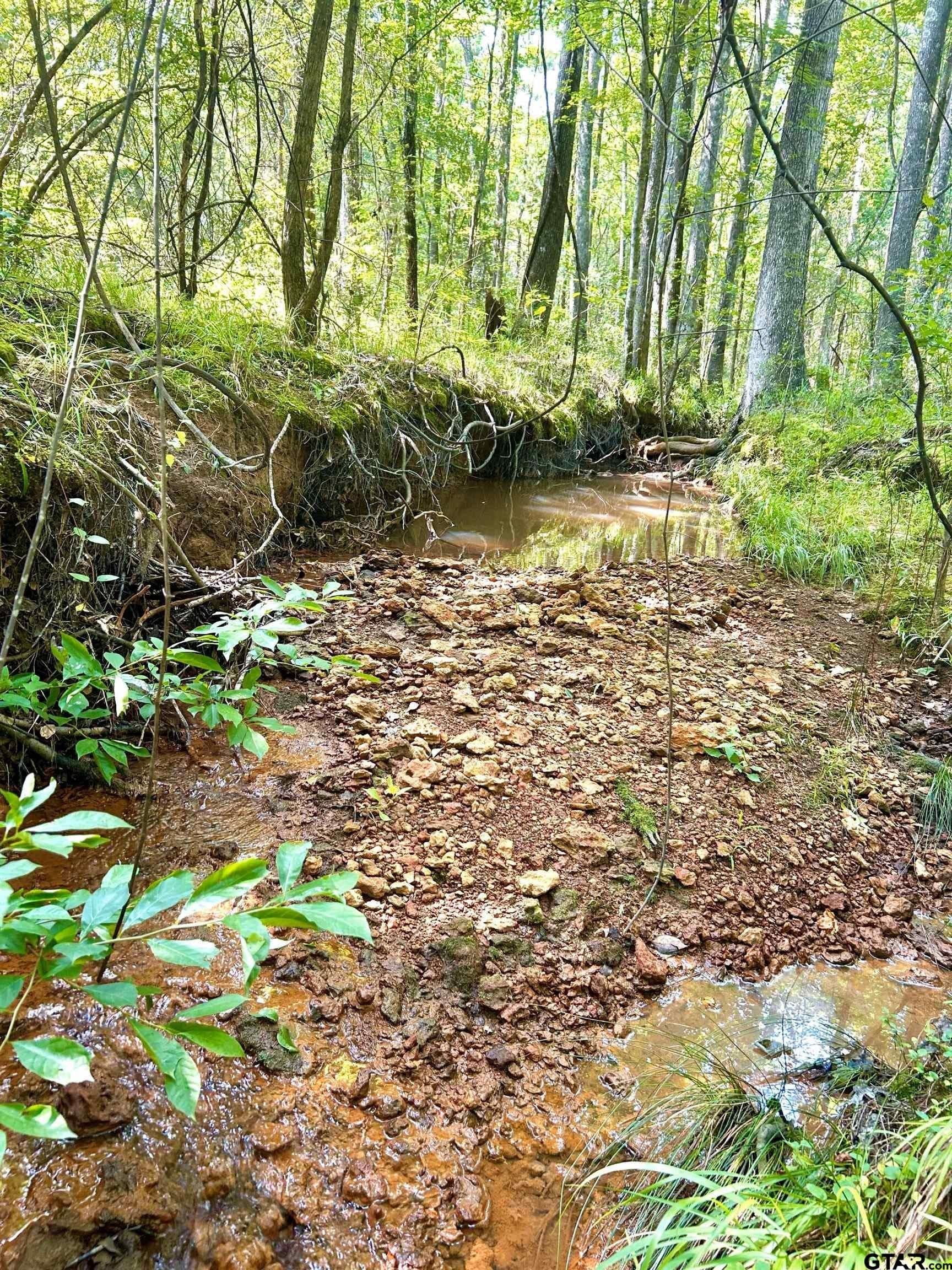 12.4 acres in Harrison County - photo 7