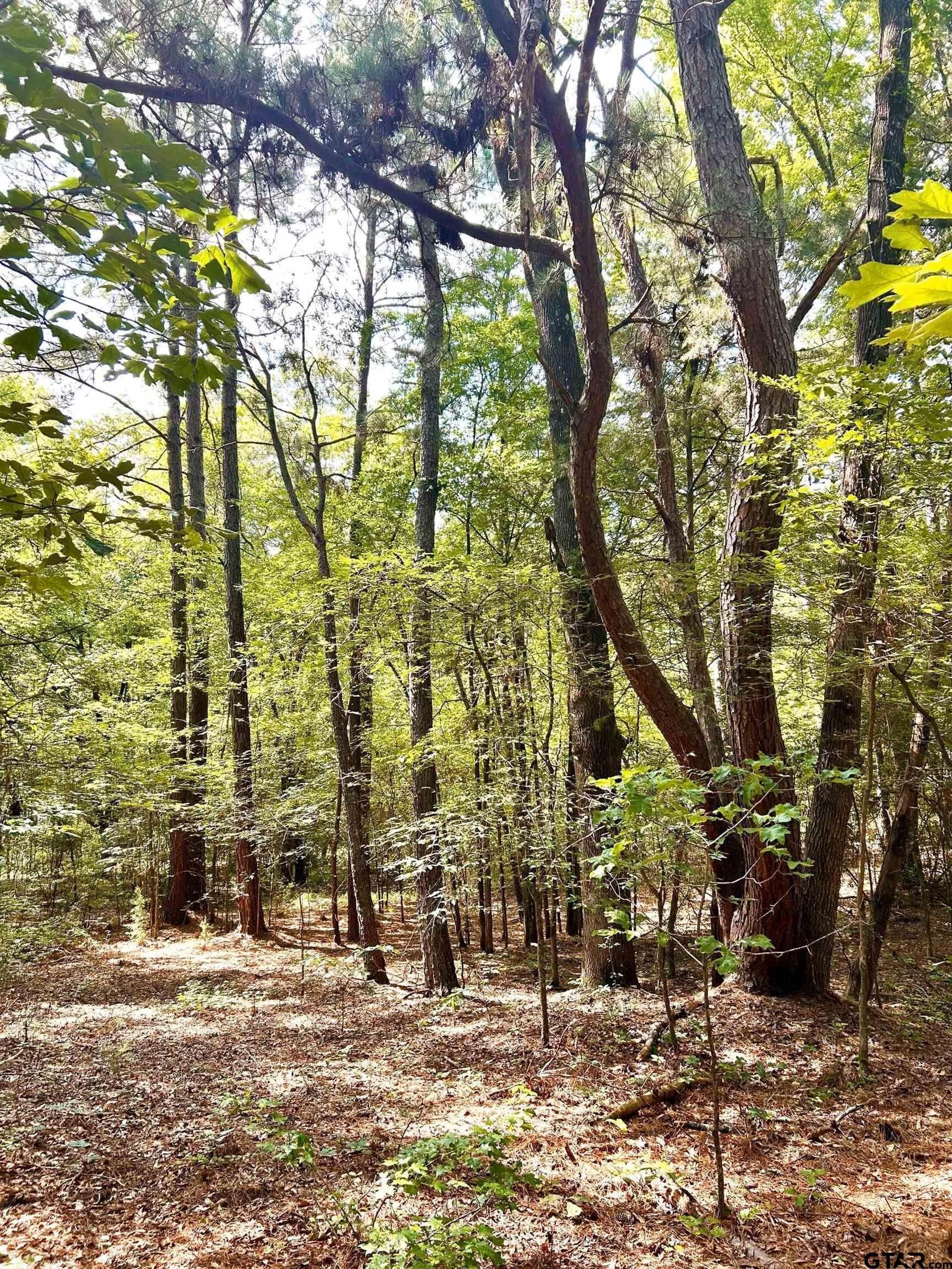 12.4 acres in Harrison County - photo 3