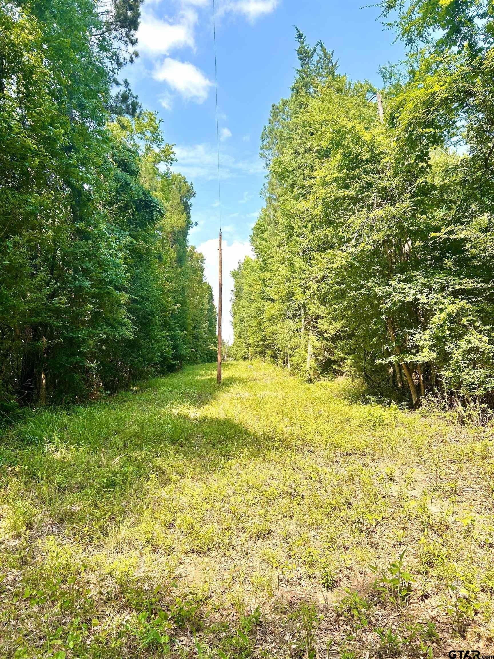 12.4 acres in Harrison County - photo 8