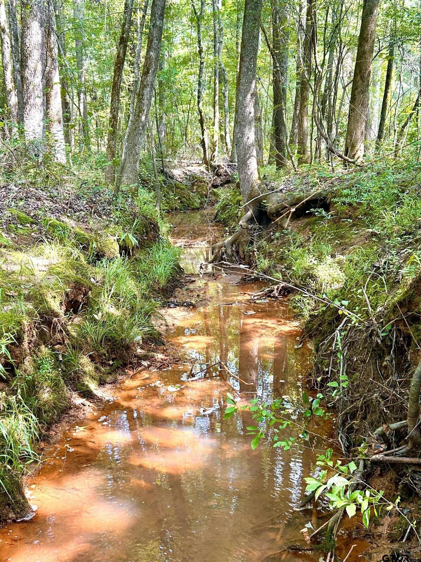 12.4 acres in Harrison County - photo 5