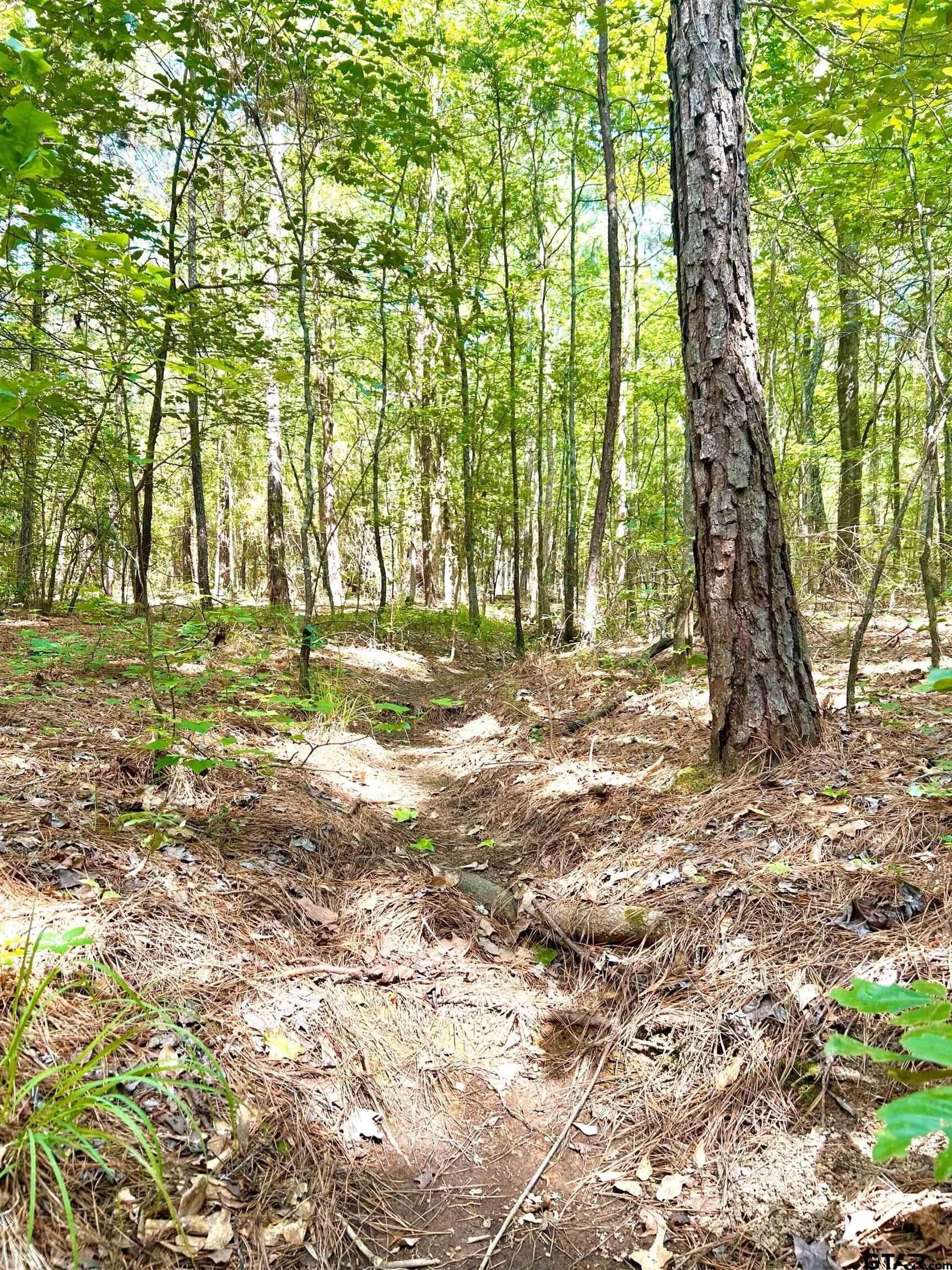 12.4 acres in Harrison County - photo 9