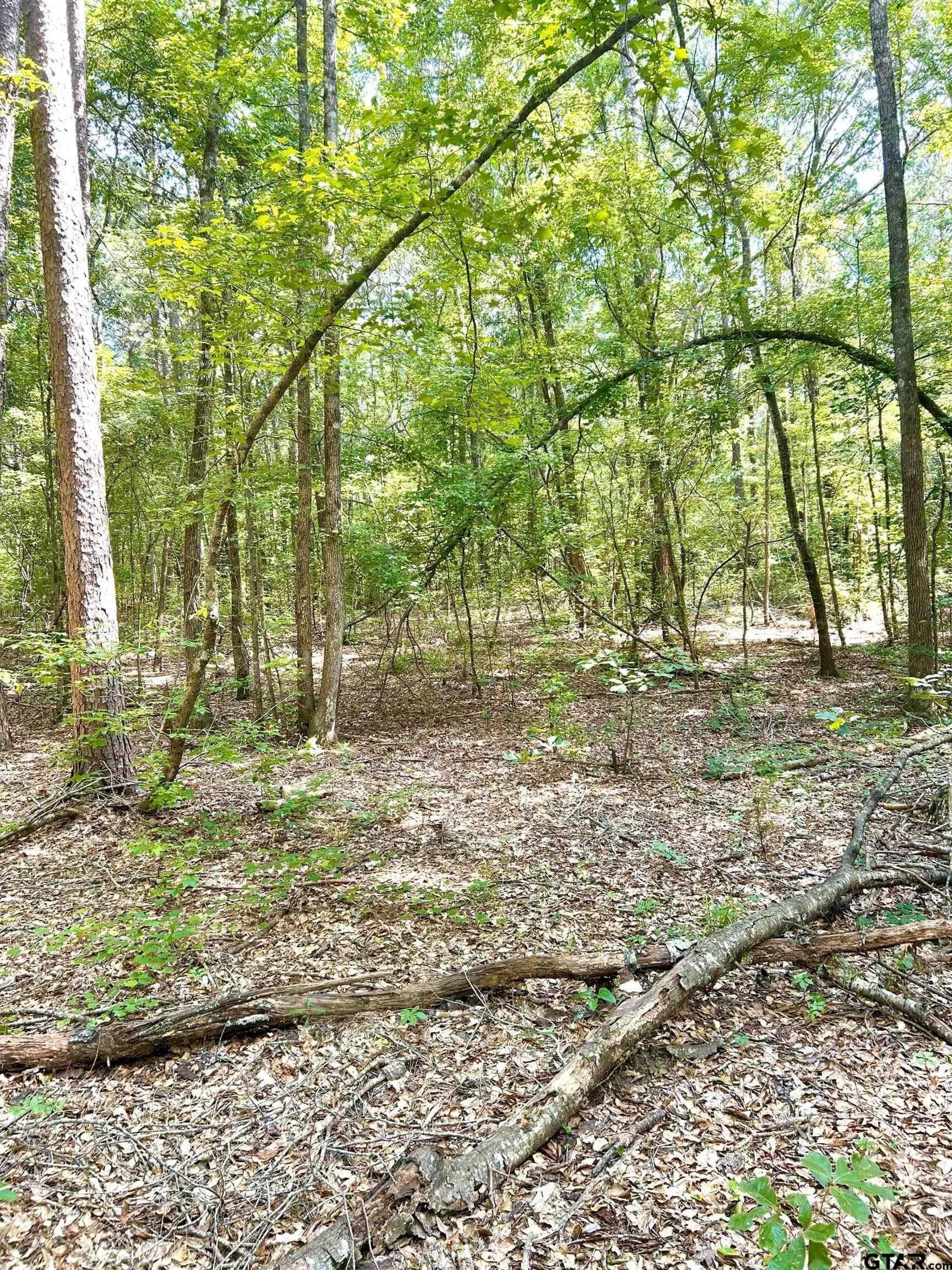 12.4 acres in Harrison County - photo 6