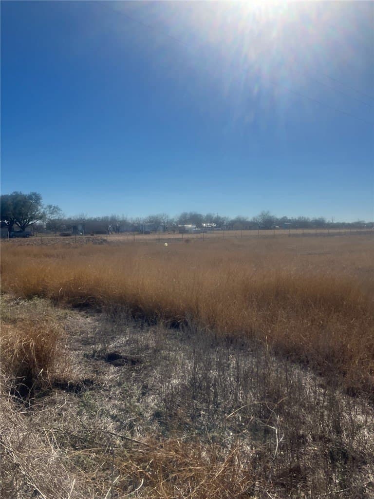 17.16 acres in Jim Wells County - photo 3