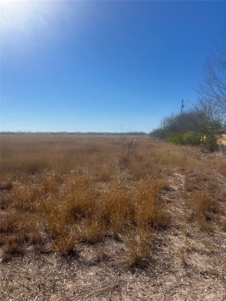 17.16 acres in Jim Wells County - photo 2