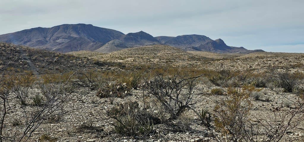 21 acres in Brewster County - photo 3