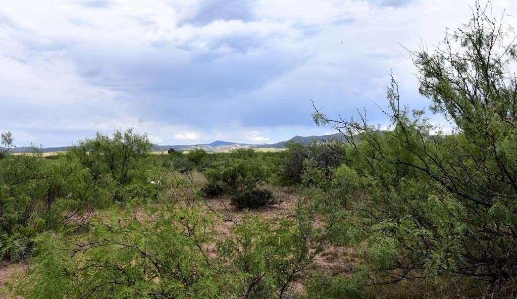 1 acres in Brewster County - photo 5
