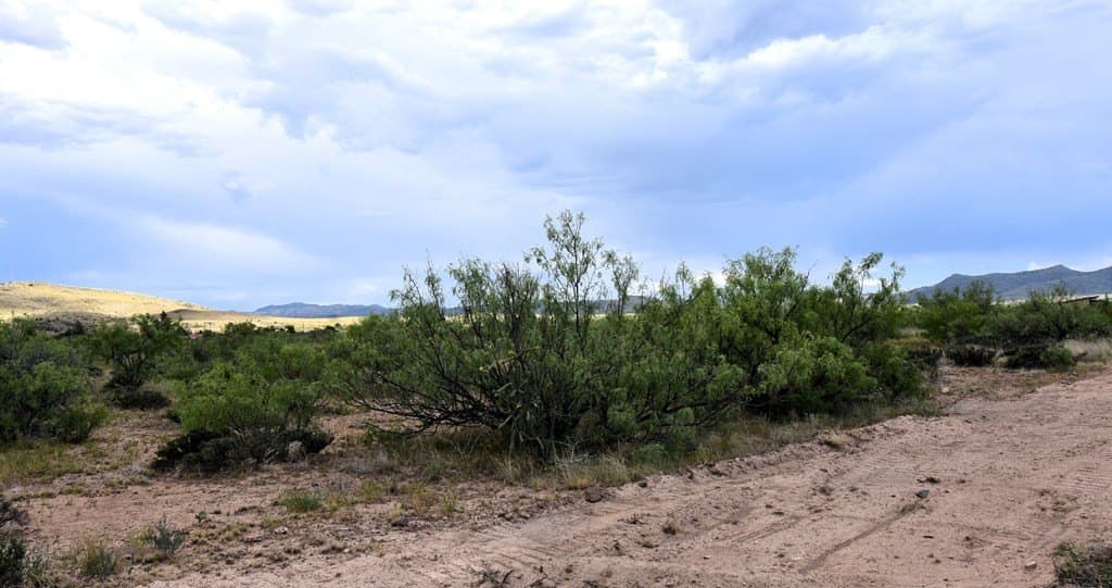 1 acres in Brewster County - photo 2