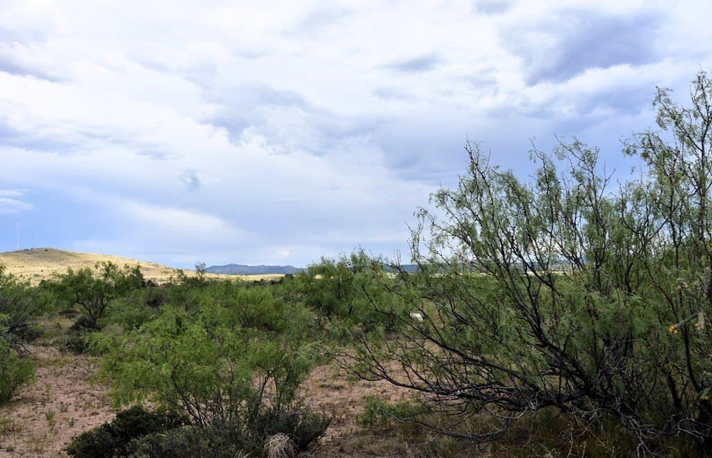 1 acres in Brewster County - photo 3