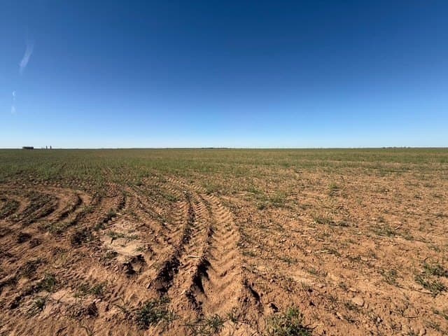 197 acres in Howard County - photo 15