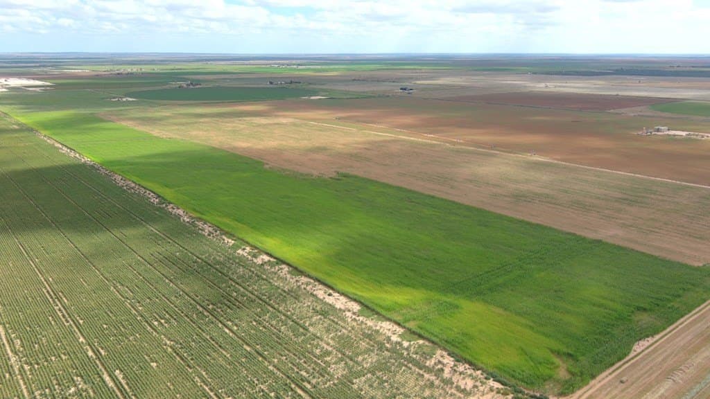 197 acres in Howard County - photo 20