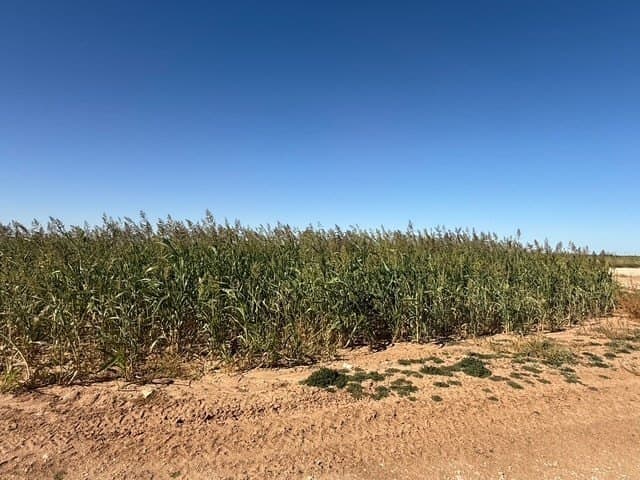 197 acres in Howard County - photo 6