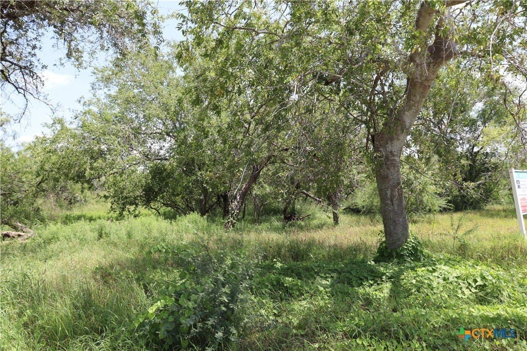 21 acres in San Patricio County - photo 9