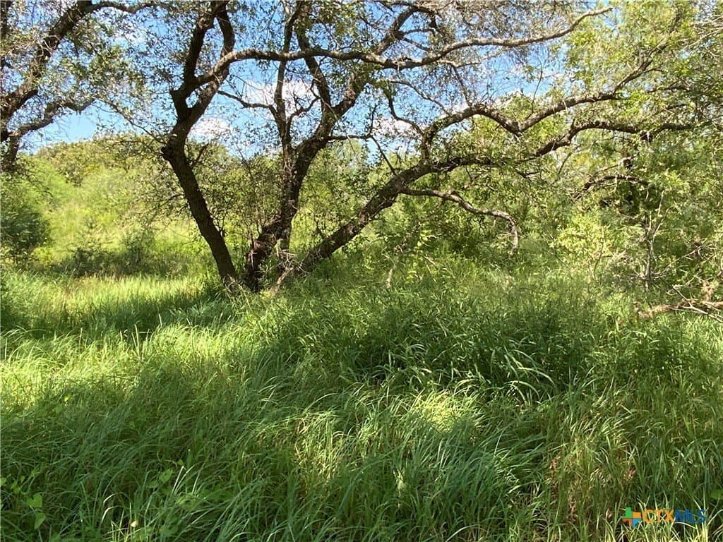 21 acres in San Patricio County - photo 2
