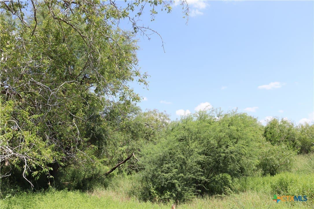 21 acres in San Patricio County - photo 5