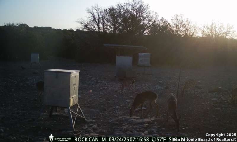 54.8 acres in Edwards County - photo 28