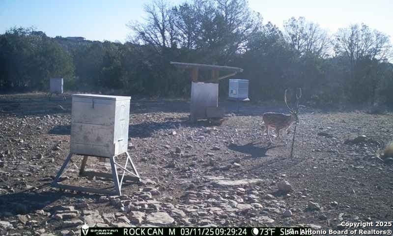 54.8 acres in Edwards County - photo 18