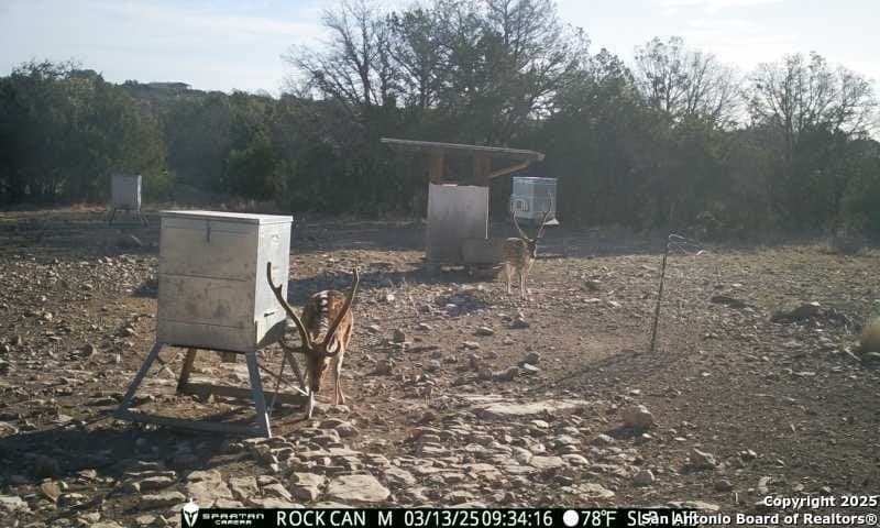 54.8 acres in Edwards County - photo 16