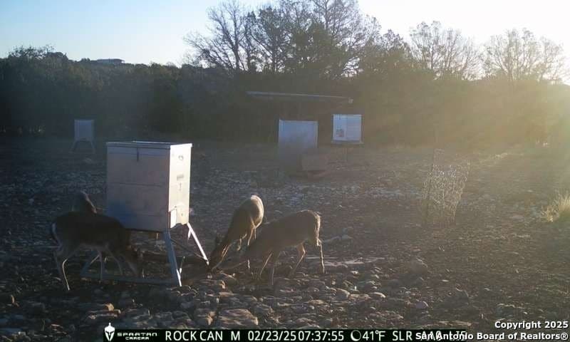 54.8 acres in Edwards County - photo 20
