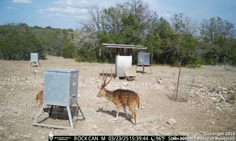 54.8 acres in Edwards County - photo 25