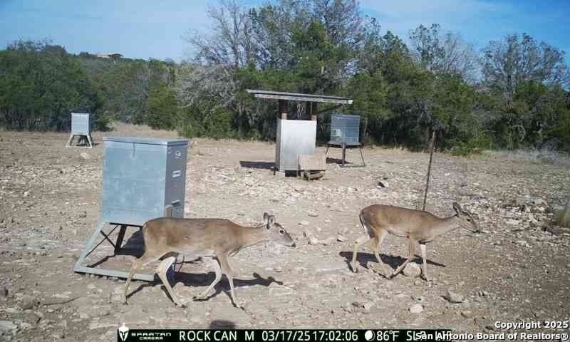 54.8 acres in Edwards County - photo 17