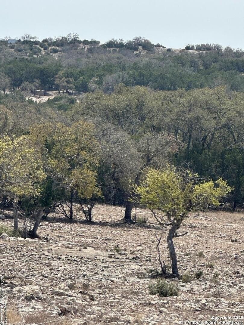 54.8 acres in Edwards County - photo 44