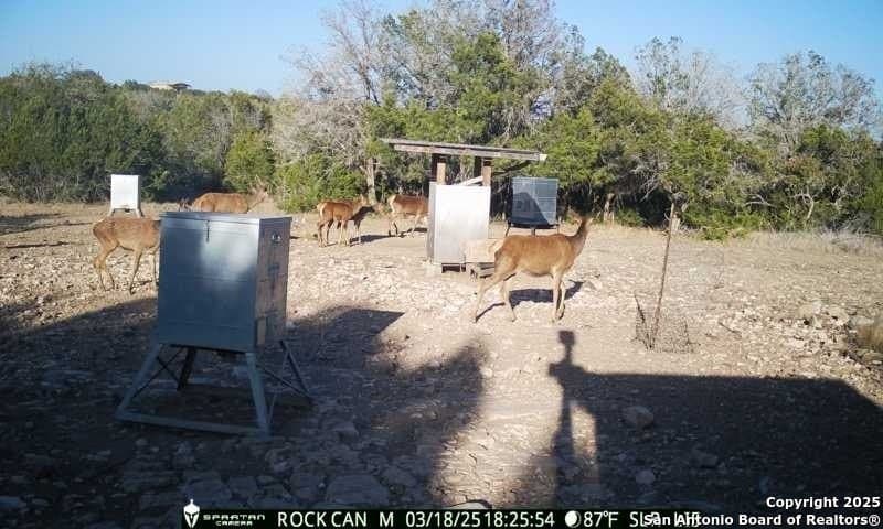 54.8 acres in Edwards County - photo 13