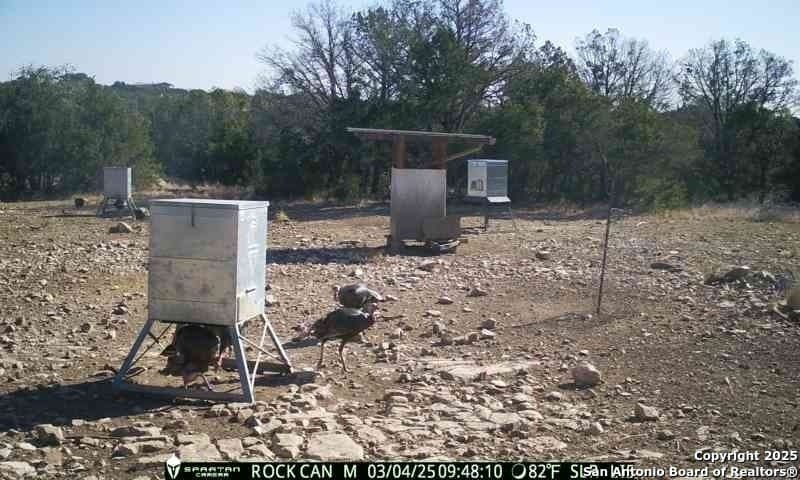 54.8 acres in Edwards County - photo 19