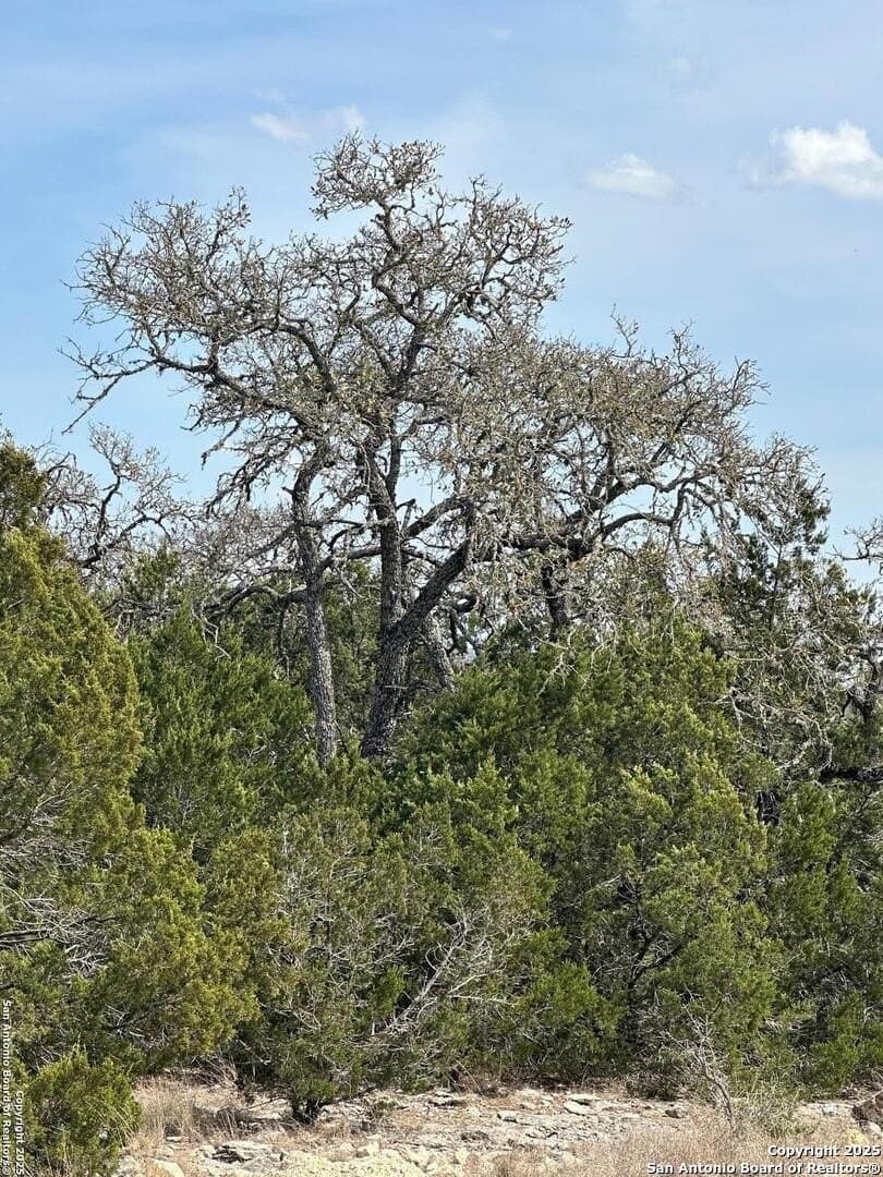 54.8 acres in Edwards County - photo 51