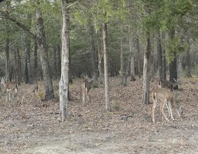 0.42 acres in Franklin County - photo 12