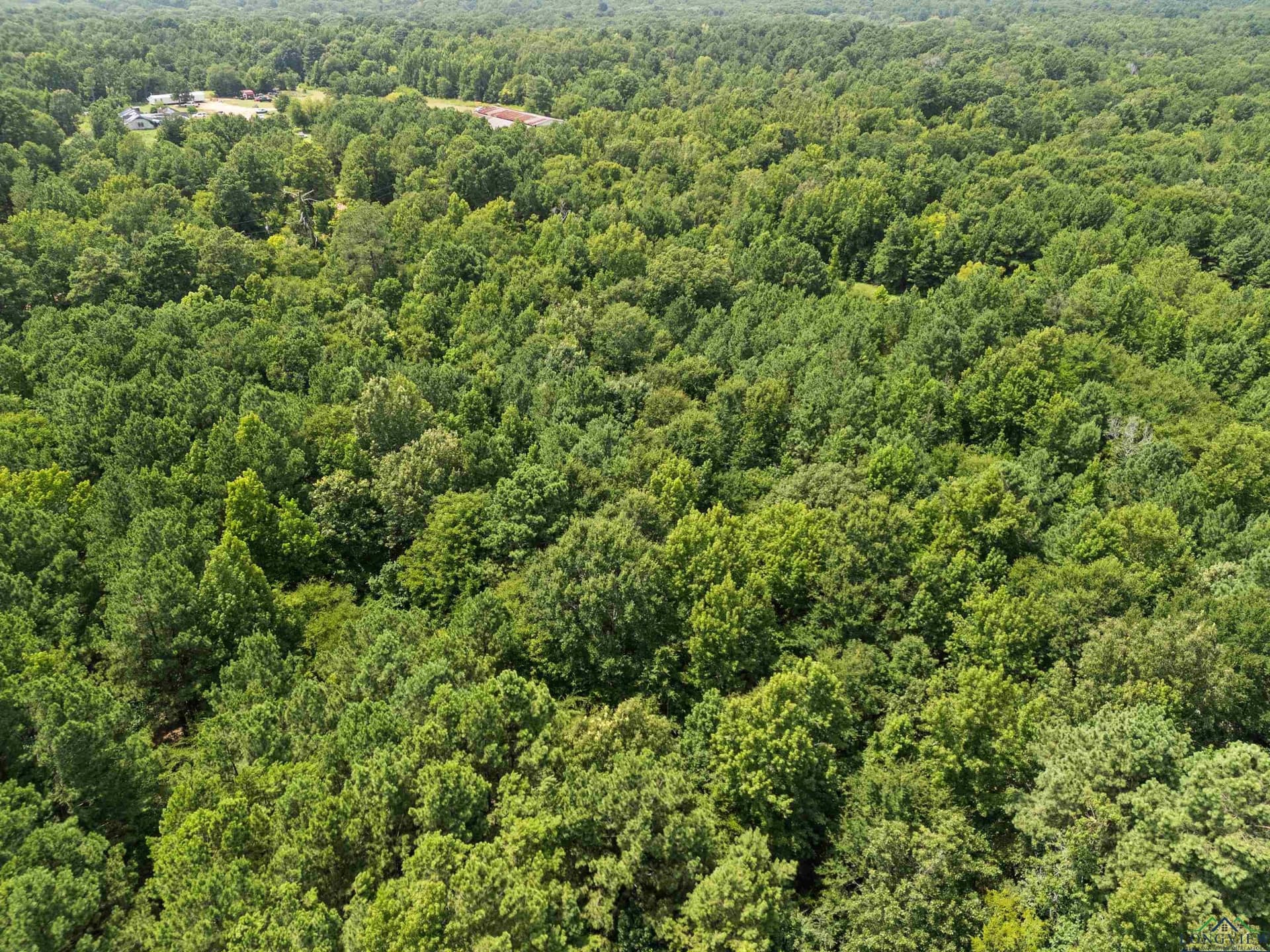 23.85 acres in Gregg County - photo 8