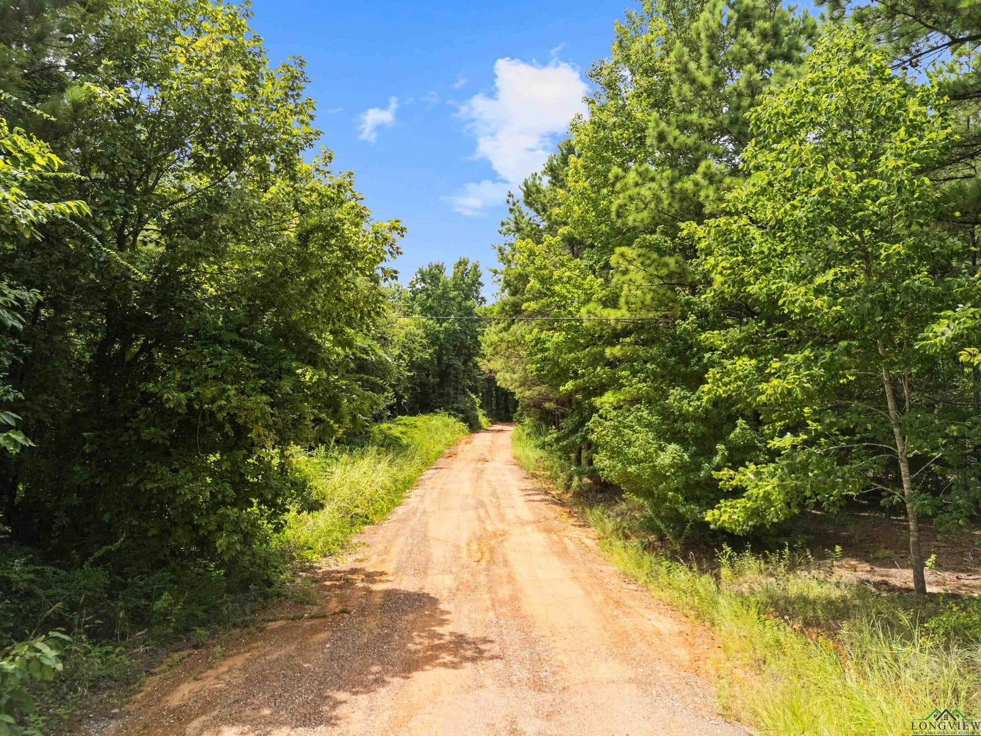 23.85 acres in Gregg County - photo 11