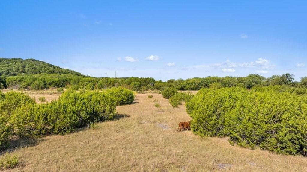 11 acres in Bosque County - photo 6