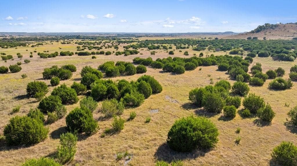 11 acres in Bosque County - photo 16