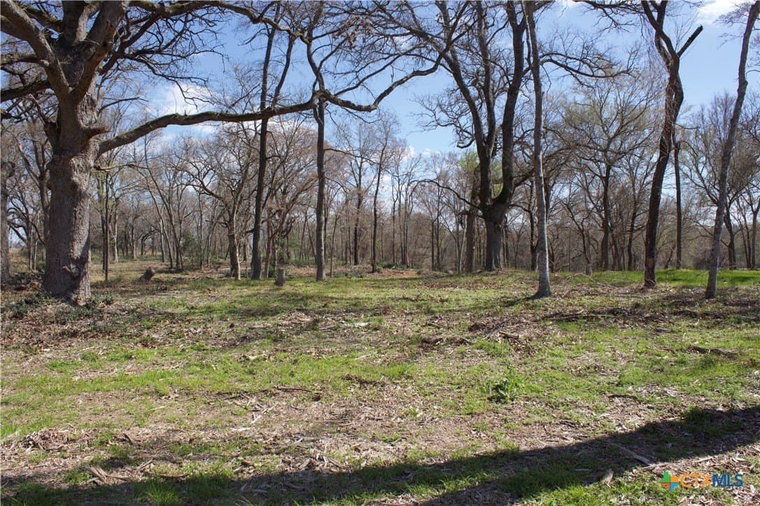3 acres in Milam County - photo 5