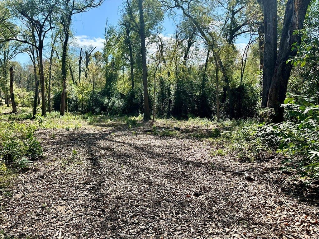 0.97 acres in ANDERSON County - photo 6