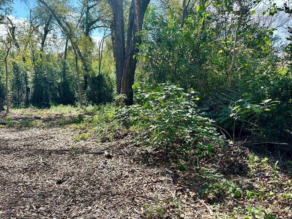 0.97 acres in ANDERSON County - photo 2