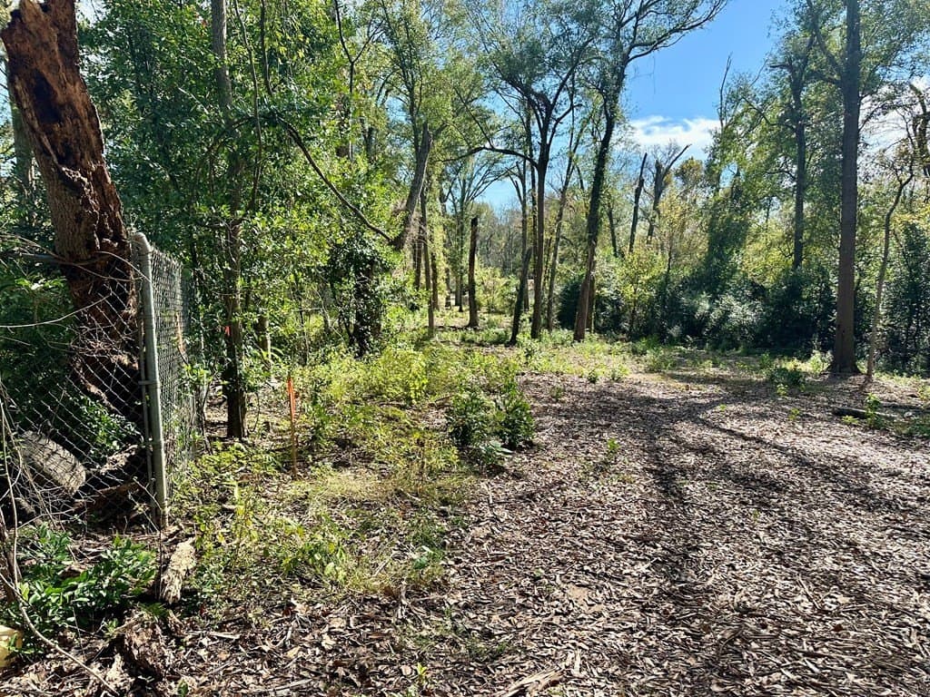 0.97 acres in ANDERSON County - photo 5
