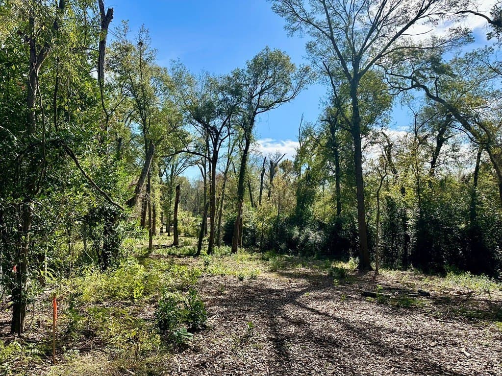 0.97 acres in ANDERSON County - photo 4