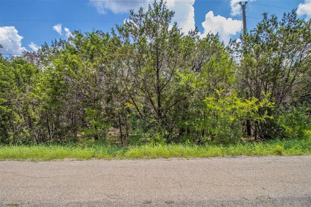 0.18 acres in Hood County - photo 2