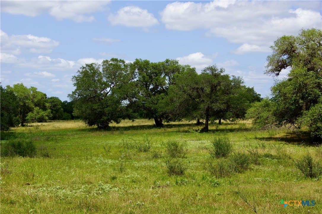 68.8 acres in DeWitt County - photo 9