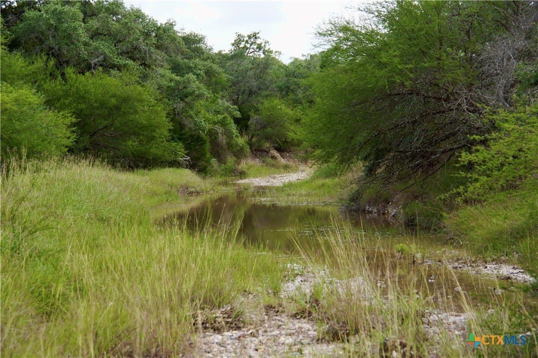 68.8 acres in DeWitt County - photo 39