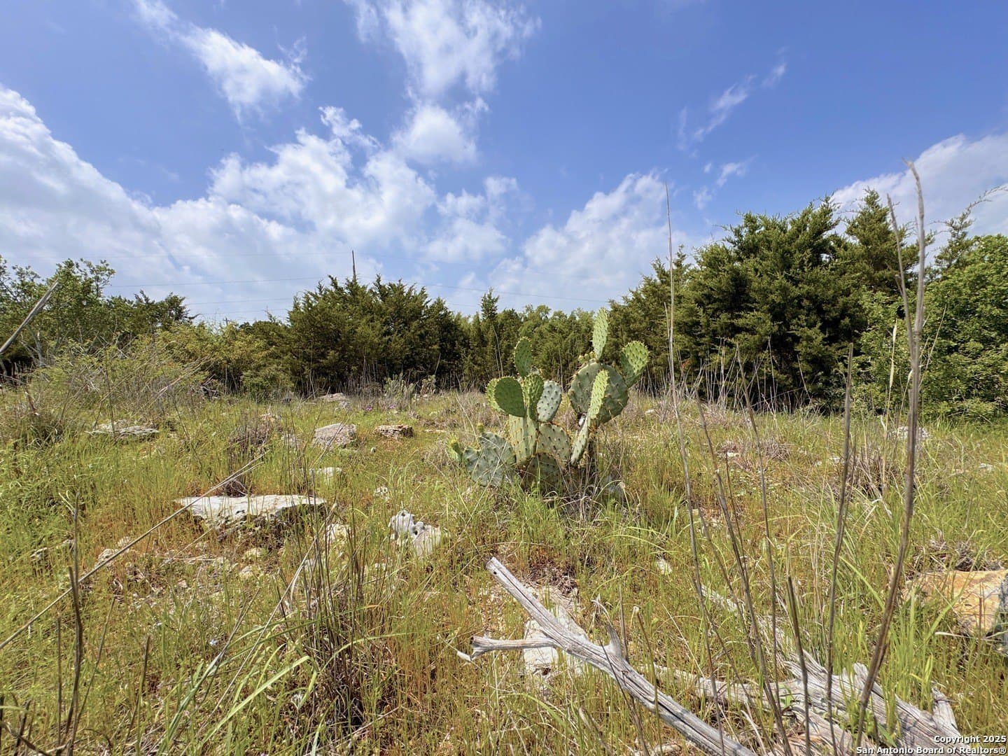 1.23 acres in Comal County - photo 2