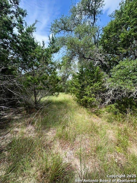1.23 acres in Comal County - photo 5