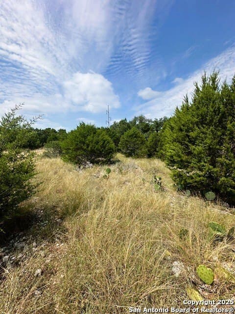 1.23 acres in Comal County - photo 8