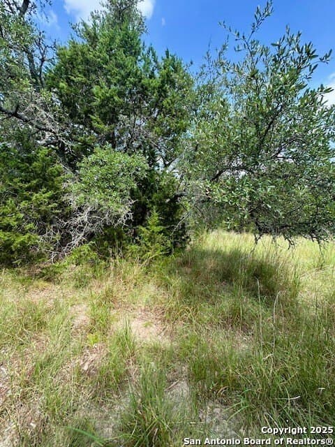 1.23 acres in Comal County - photo 4