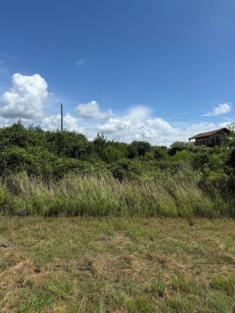 0 acres in Texas County - photo 3