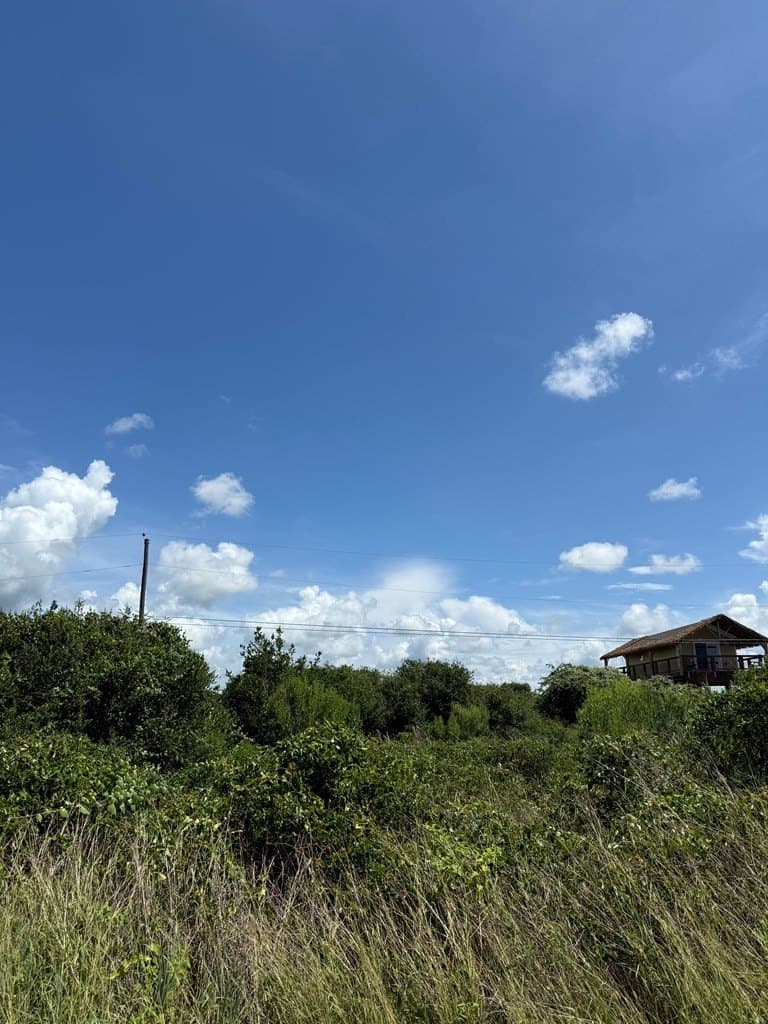 0 acres in Texas County - photo 4