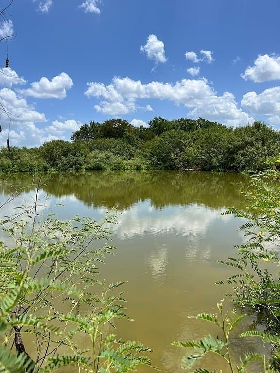 134.33 acres in Fayette County - photo 4