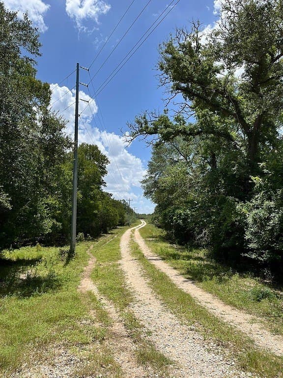134.33 acres in Fayette County - photo 12