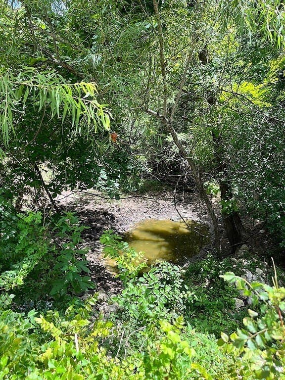 134.33 acres in Fayette County - photo 13